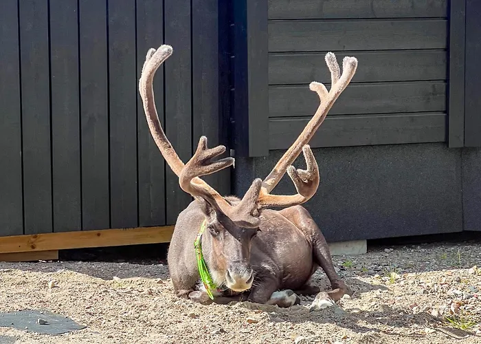 Villa Private Aurora Samruam B Glass Roof Igloo *